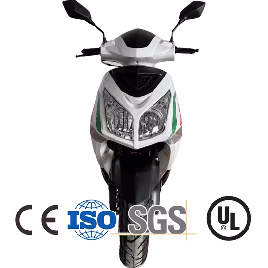 Electric Motorcycle 72V 30ah 3000W E Sport Motorcycle for Sale